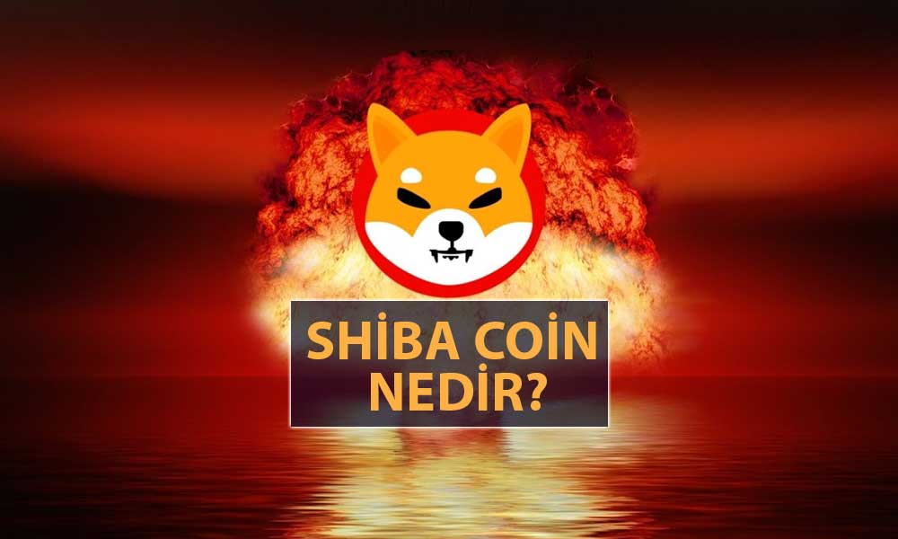 Shiba Coin Nedir? Nasıl Alınır?