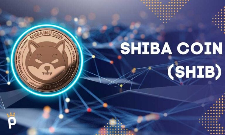 Shiba Coin (Shiba Inu) Nedir? Nasıl Alınır?
