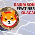 Shiba Inu Pazar Düşerken Bu Metrikte Rekor Kırdı