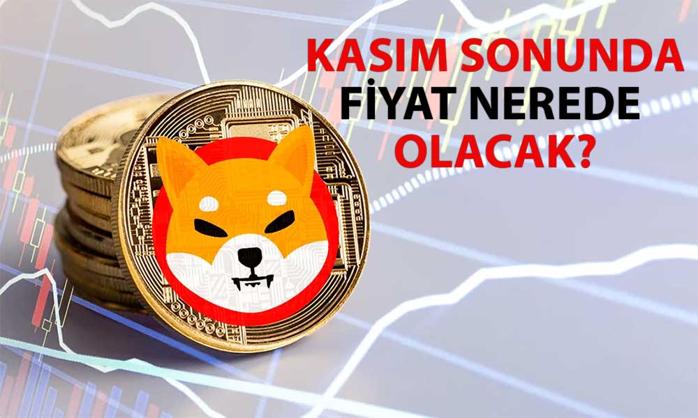 Shiba Inu Pazar Düşerken Bu Metrikte Rekor Kırdı