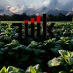 Tarımsal Girdi Fiyat Artışı Eylül’de Zirvede Kaldı