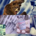 Yatırımcılardan Moderna’ya Tepki: Hisselerde Çift Haneli Düşüş