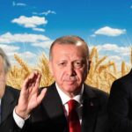 Zelenskiy Tahıl Sevkiyatının Devam Ettiğini Duyurdu!