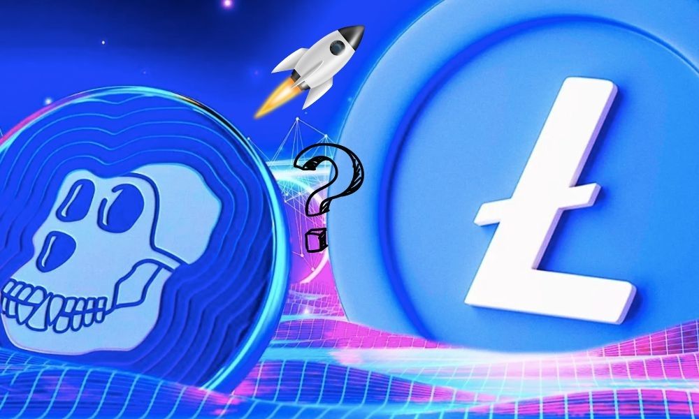 Sherpa: Litecoin ve Apecoin için Büyük Fırsat! O Altcoine Dikkat!