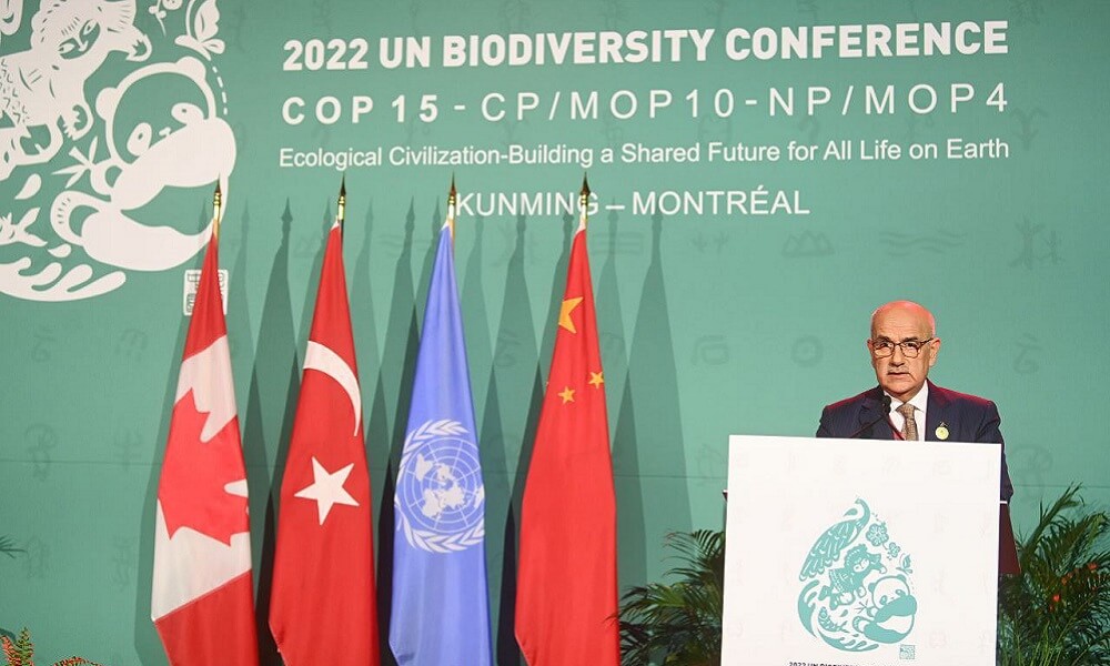 Bakan Kirişci: Çocuklarımız Rahatlıktan Dolayı Bir Şey Yapmıyor