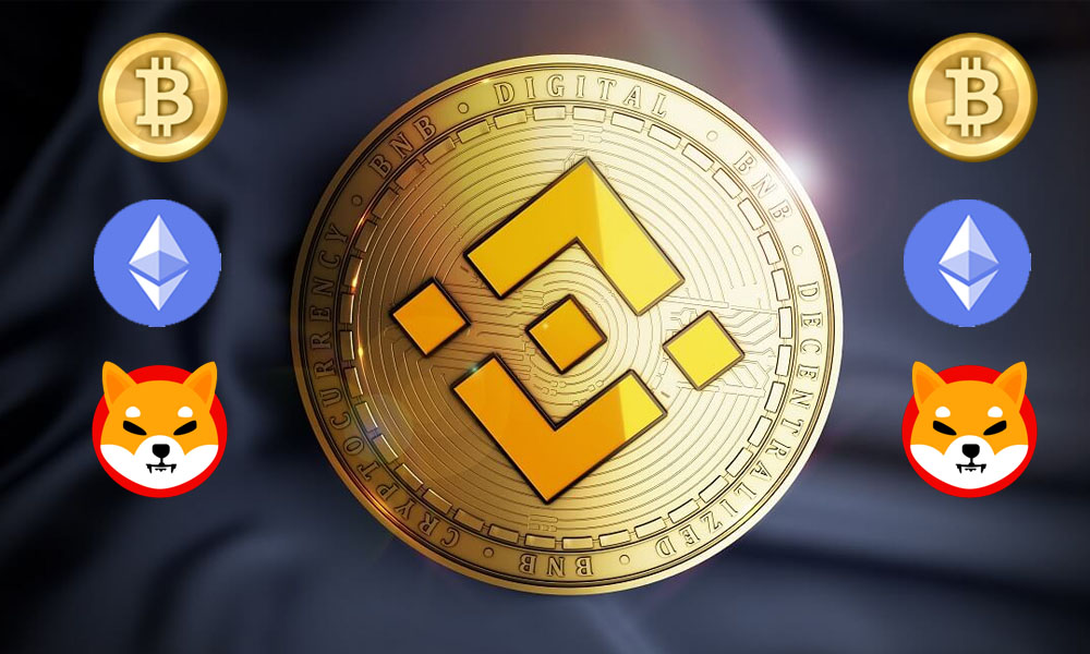 Binance Duyurdu: Shiba Inu En Çok Takip Edilenler Arasında