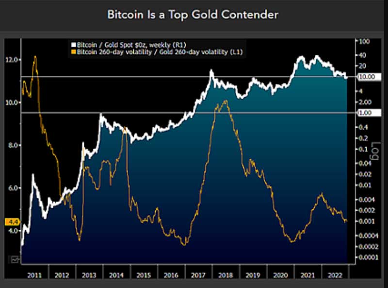 Bitcoin ve altın performans karşılaştırması