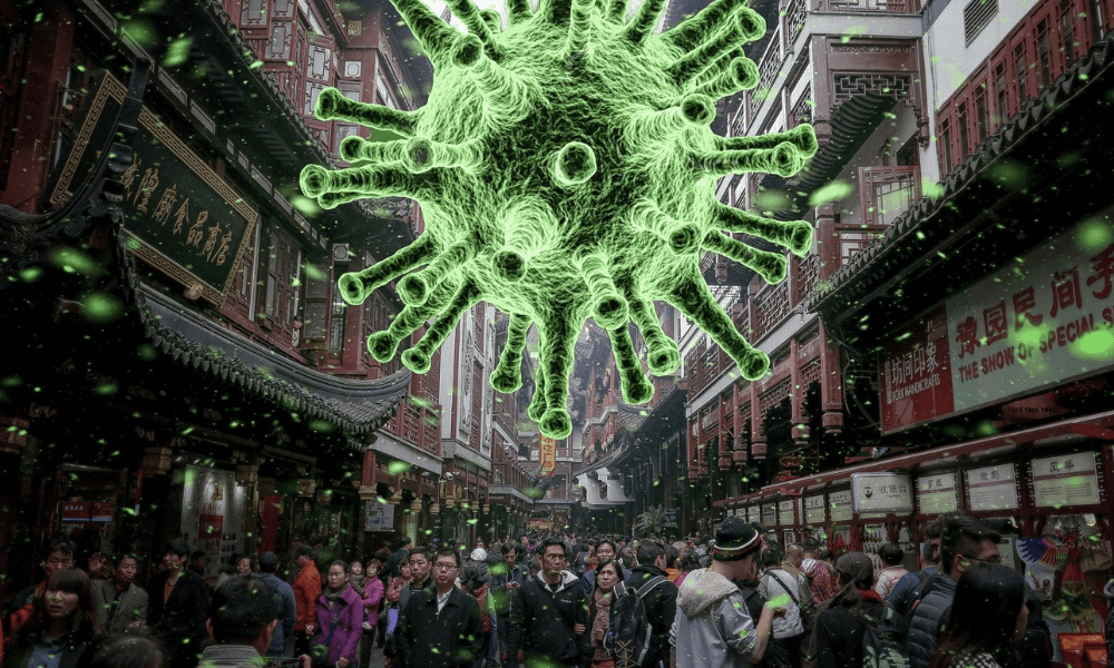 DSÖ: Covid Tedavisindeki Boşluklar Gereksiz Ölümlere Yol Açtı