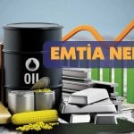 Emtia Nedir? Yatırımı Nasıl Yapılır?