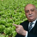 Kasım Ayında Fiyat Farkının Şampiyonu Marul Oldu!