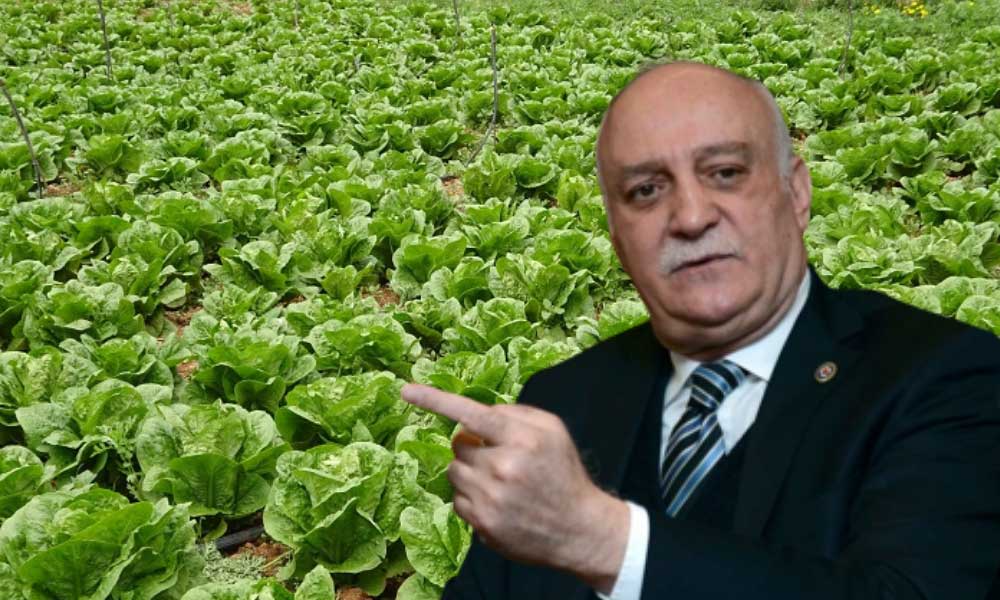 Kasım Ayında Fiyat Farkının Şampiyonu Marul Oldu!