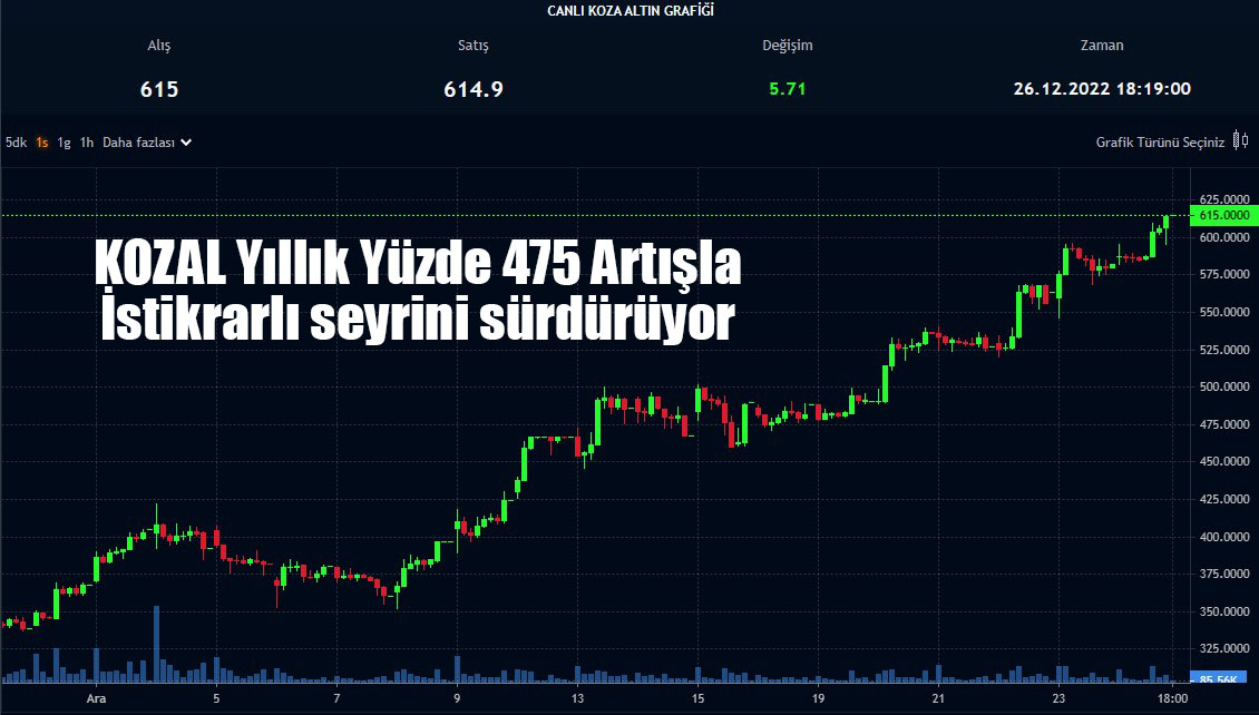 Koza Altından Rekor Bedelsiz Kararı: Yüzde 2000