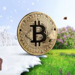 Bitmek Bilmeyen Kripto Kışına En İyi Dayanacak 3 Kripto Para