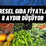 Küresel Gıda Fiyat Göstergesi 10 Ayın En Düşük Seviyesinde