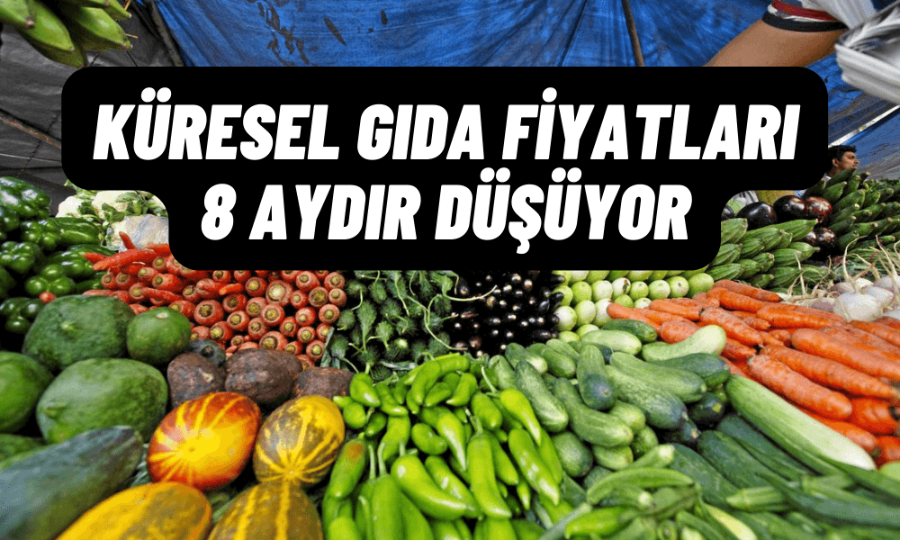 Küresel Gıda Fiyat Göstergesi 10 Ayın En Düşük Seviyesinde