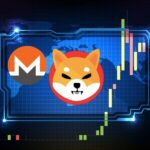 Günün Kazananları: SHIB ve XMR Kazançlarını Genişletiyor!