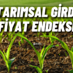 Tarımsal Girdi Fiyat Endeksi Ekim’de Rekor Artışa Ara Verdi