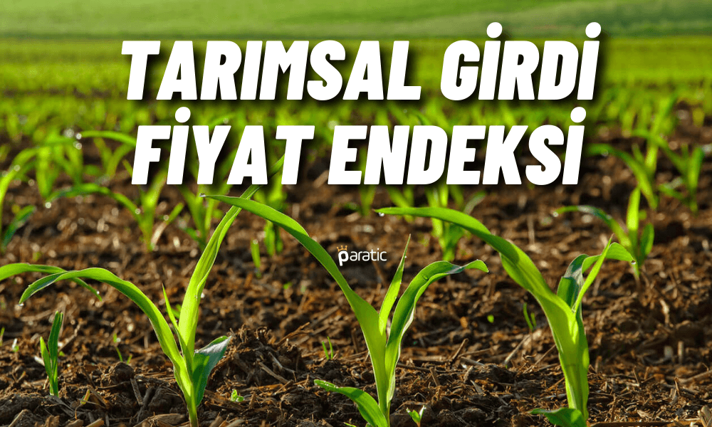 Tarımsal Girdi Fiyat Endeksi Ekim’de Rekor Artışa Ara Verdi