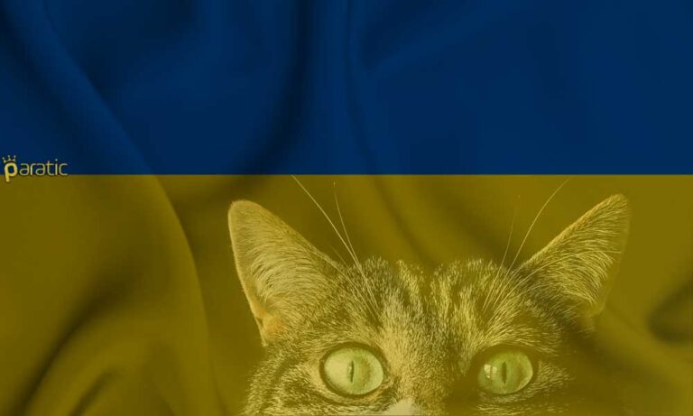Ukrayna Uydu Sorununa Açıklık Getirdi: Terminale Kedi Girmiş