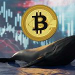 Bitcoin Balinaları Dibi Kazıyor: 6 Aylık Birikimde Büyük Artış