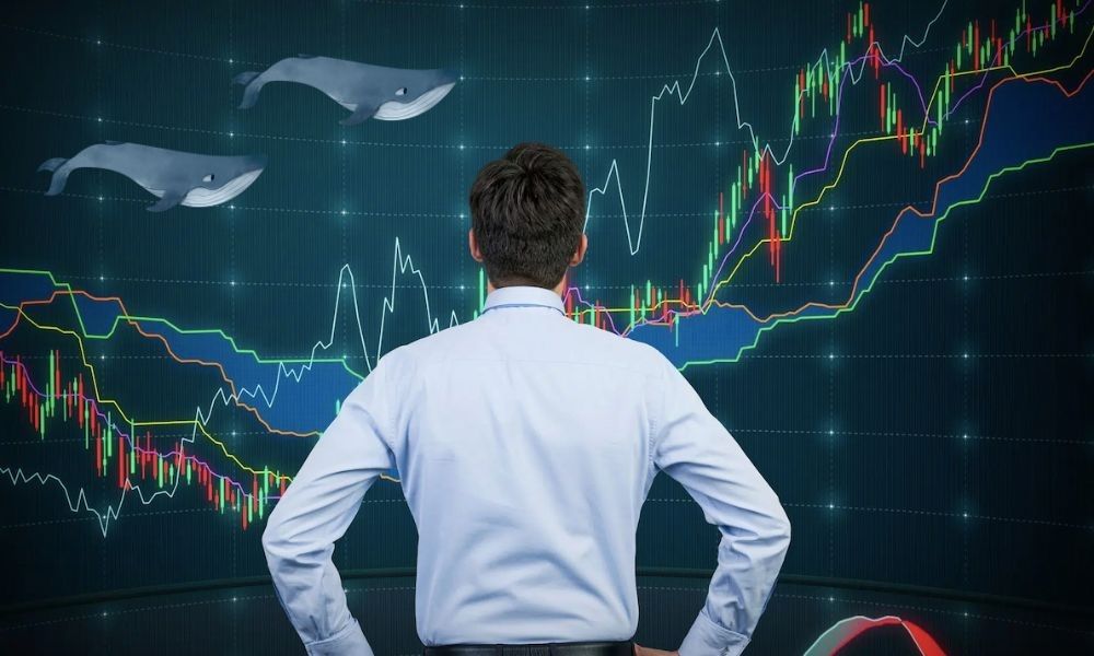 Devasa Balina İşlemi O Altcoinin Fiyatını Harekete Geçirdi!