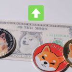 DOGE ve SHIB Hareketlendi! Yükseliş Nereye Kadar Gidebilir?