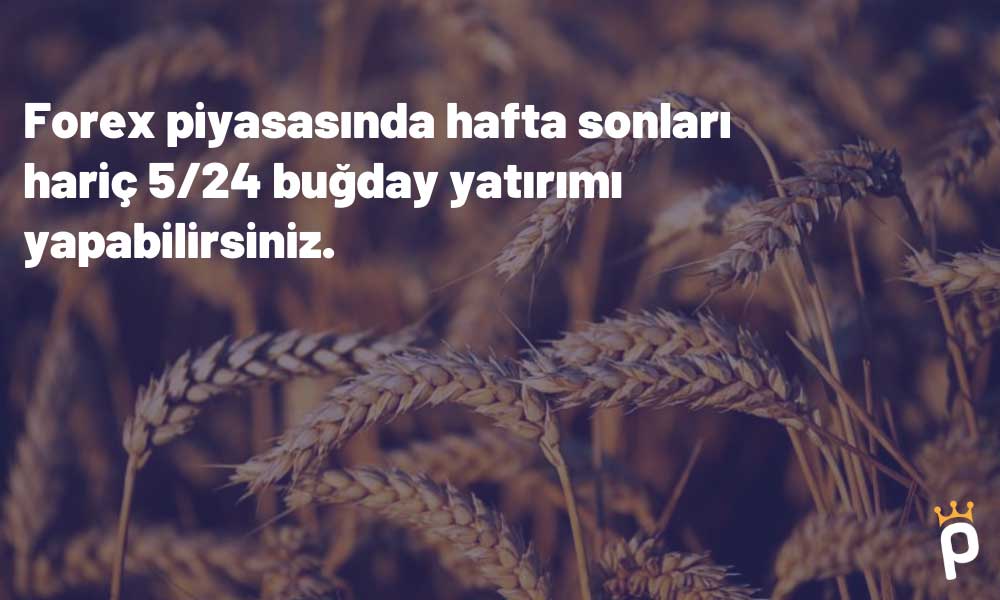 Forex Piyasasında Buğday Yatırımı Nasıl Yapılır?