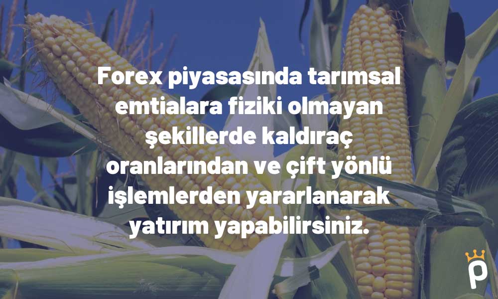 Forex Piyasasında Tarımsal Emtia Yatırımı Nasıl Yapılır?