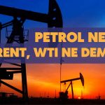 Ham, Brent ve WTI Petrol Nedir? Farkları Nelerdir?
