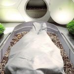 İnsan Cesetlerinin Gübreye Dönüştürülmesine İzinler Artıyor