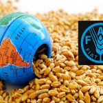 Küresel Gıda Fiyatları 2022’de En Yüksek Seviyeyi Gördü