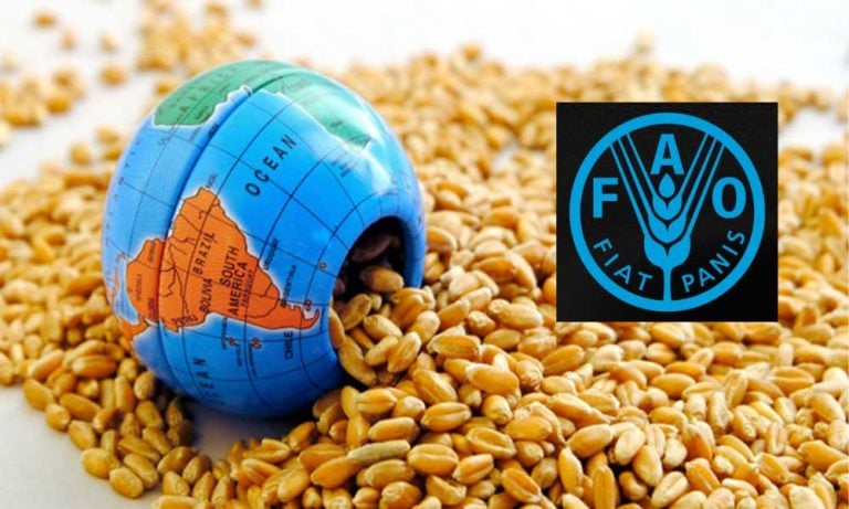 Küresel Gıda Fiyatları 2022’de En Yüksek Seviyeyi Gördü