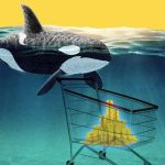 Bu Altcoinin Yönü Hakkında Son Sözü Balinalar Söyleyebilir!