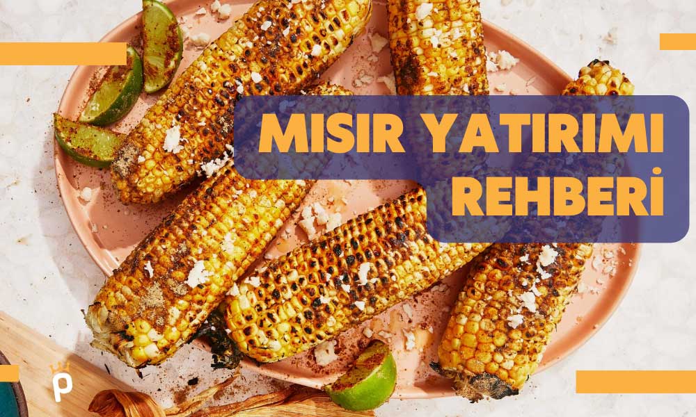 Mısır Yatırımı Nasıl Yapılır? Mısırdan Para Kazanmak için Öneriler