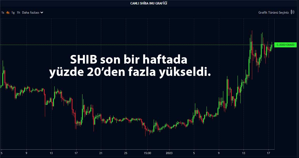 SHIB 4 saatlik grafik