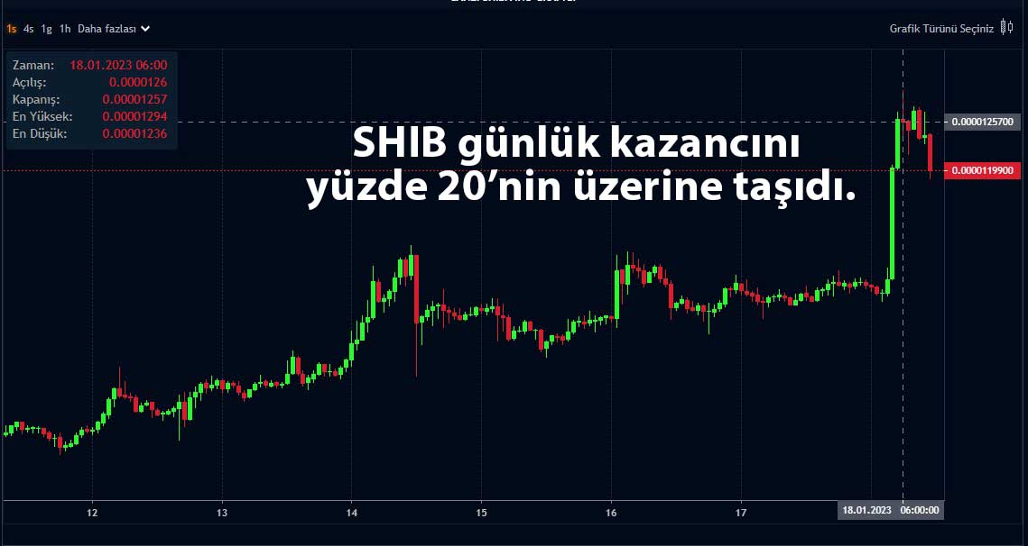 SHIB saatlik grafik