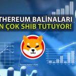 Shiba Inu Ethereum Balinalarının Gözdesi Oldu