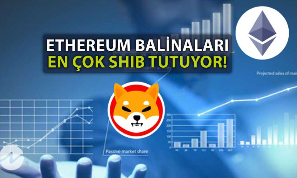 Shiba Inu Ethereum Balinalarının Gözdesi Oldu