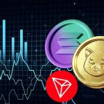 Solana’dan Atak: SHIB ve TRON’a Gözdağı Verdi!