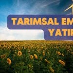 Tarımsal Emtia Yatırımı Nasıl Yapılır? Tarımsal Emtialardan Para Kazanmak için Öneriler