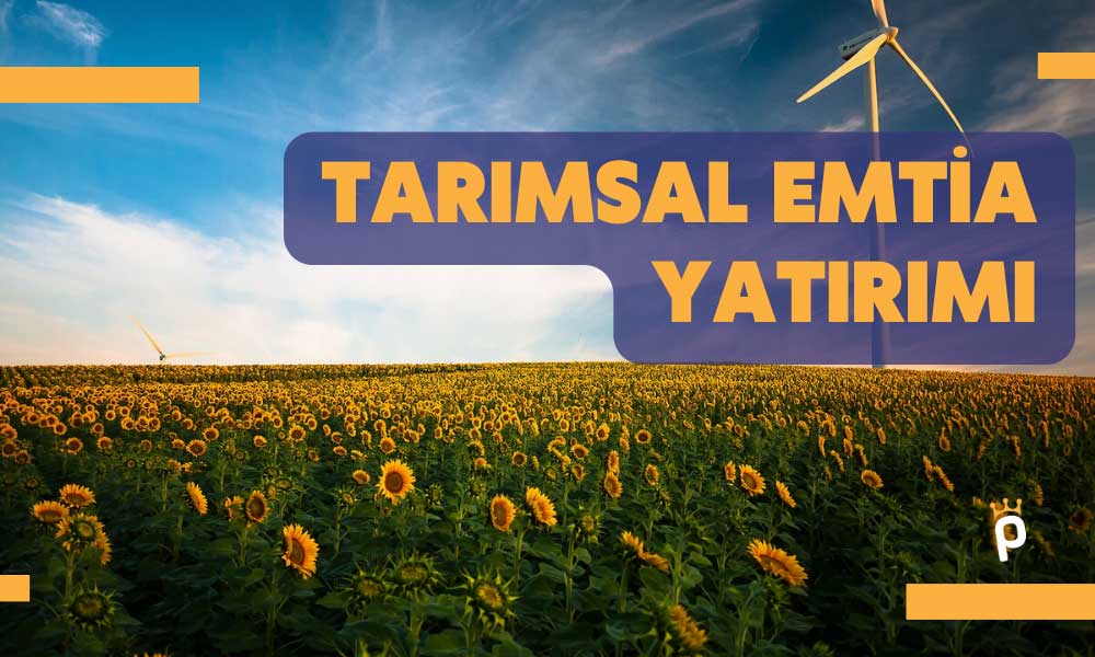 Tarımsal Emtia Yatırımı Nasıl Yapılır? Tarımsal Emtialardan Para Kazanmak için Öneriler