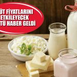 TÜİK Açıkladı: Süt Üretimi Azalırken Fiyatlar Artıyor