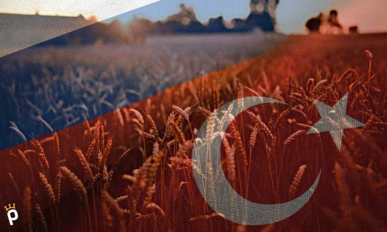 Türkiye Rus Tahılını Ücretsiz İşlemek için Hazır