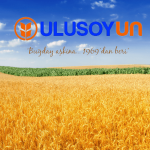 Ulusoy Un, TMO’nun Buğday İhalesinde Teslimat Tarihini Açıkladı