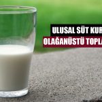 USK’dan Olağanüstü Toplantı Kararı! Süt Arzı Daralıyor