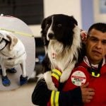 Meksika’dan Profesyonel Köpekler Geliyor