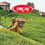ORCAY’ın 2022’deki Net Karı 19 Kat Yükseldi!