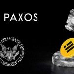 Paxos CEO’su SEC ile Yapıcı Görüşmeler Yürütüldüğünü Bildirildi
