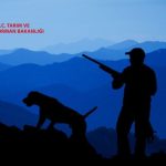 Tarım ve Orman Bakanlığı Kara Avcılığını Durdurdu