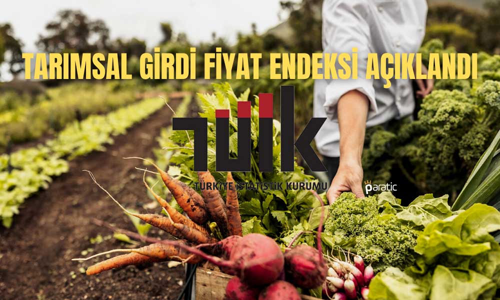 Tarımsal Girdi Enflasyonu Aralık’ta da Düşüşe Devam Etti